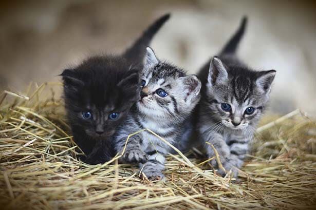 test 148