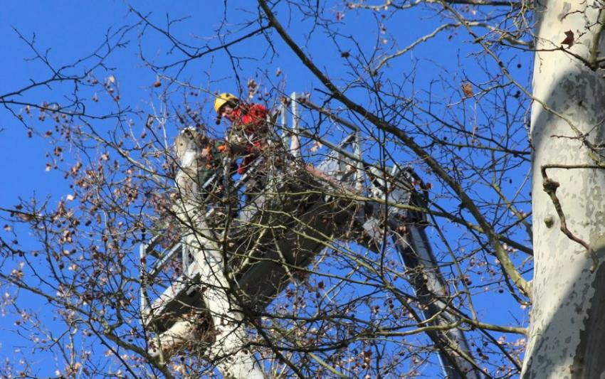 Construction d’une maison en structure bois dans le Var